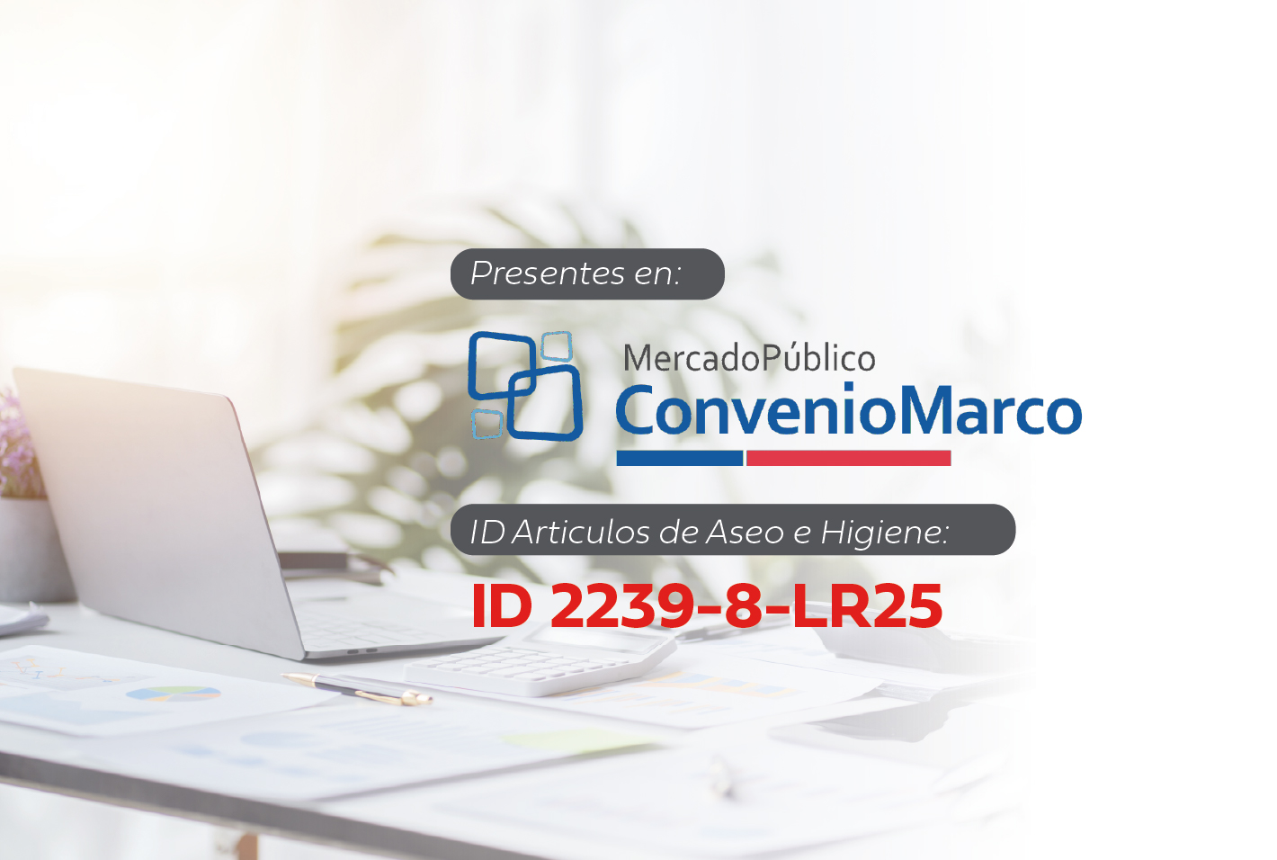 CINTEC | Innovación y tecnología en higiene