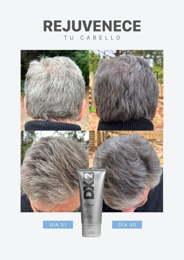 Título de la Sección