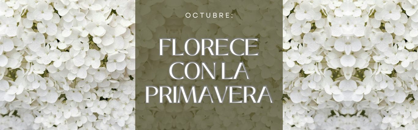 Clinica Estética Body Bloom