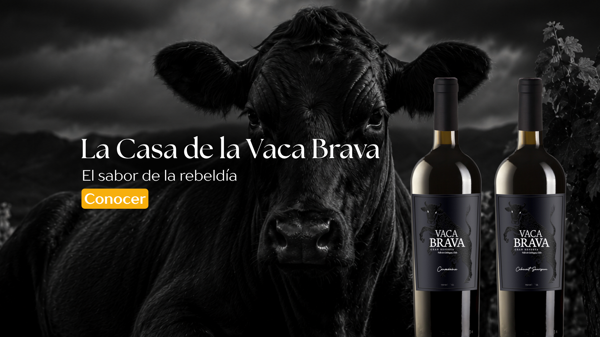 Vaca Brava