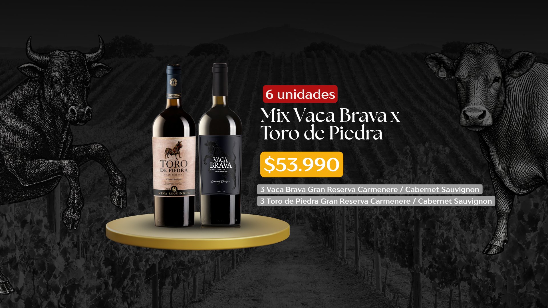 Explora la colección