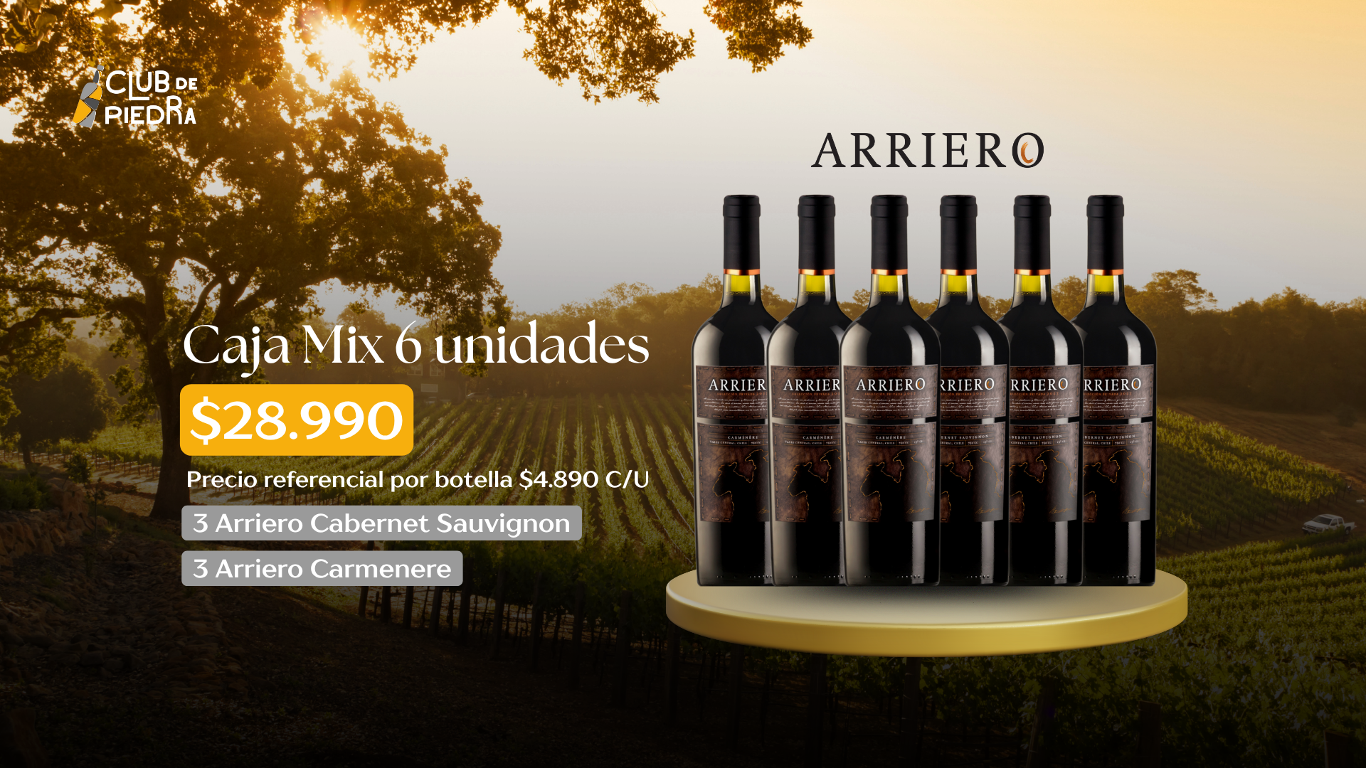 Descubre el alma de nuestros vinos.