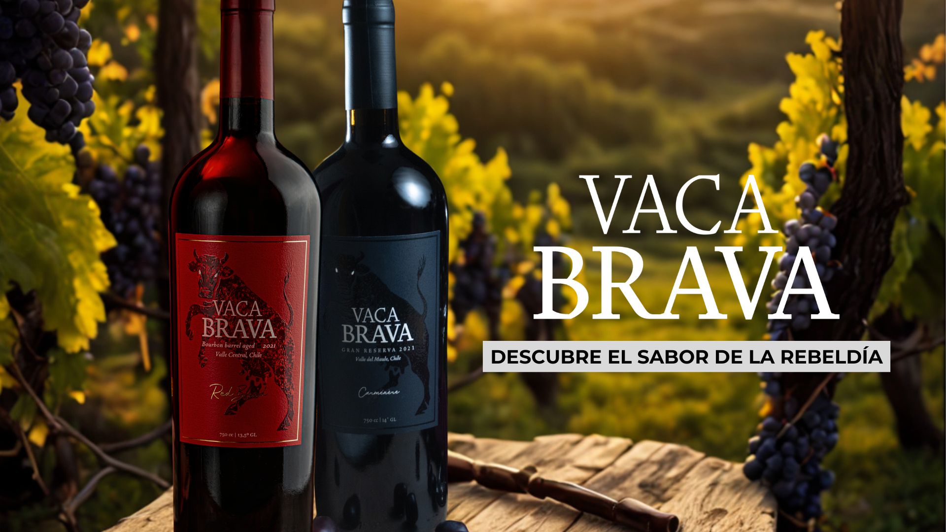 EXPLORA LA COLECCIÓN