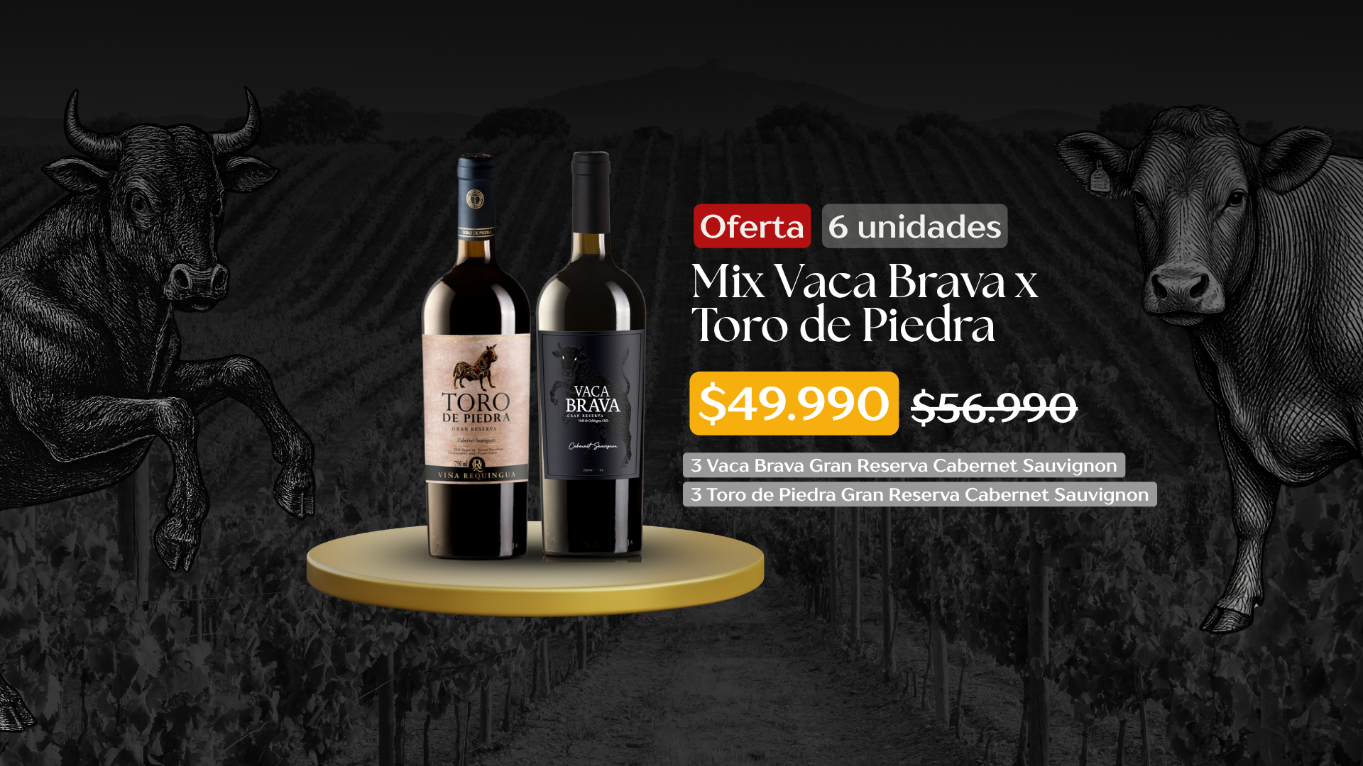 EXPLORA LA COLECCIÓN
