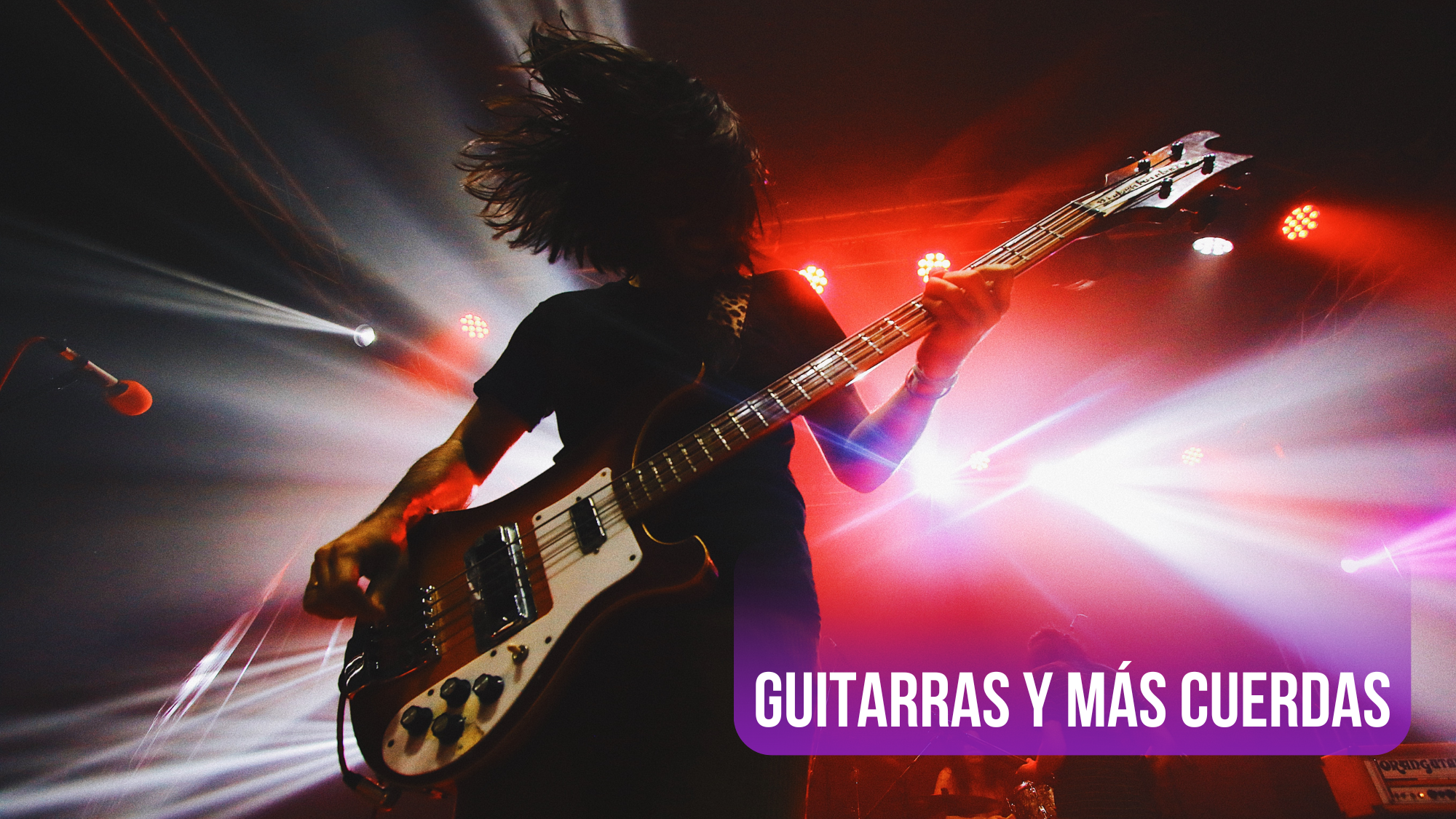 Guitarras y más cuerdas