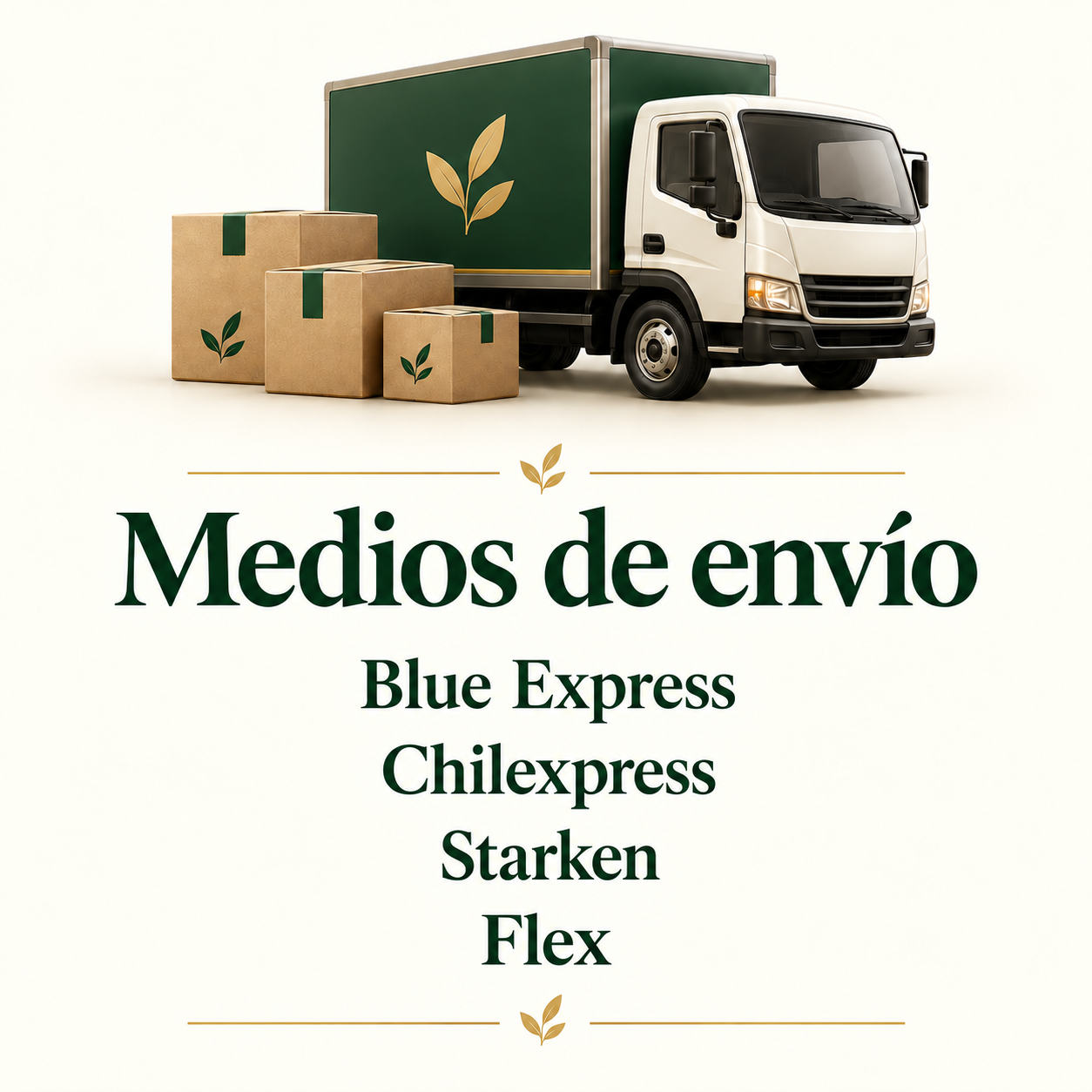Medios de envío: Blue Express, Chilexpress, Starken y Flex