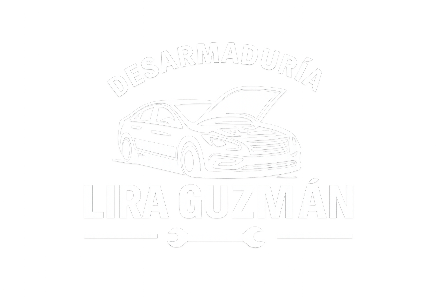 Comercial Lira Guzmán