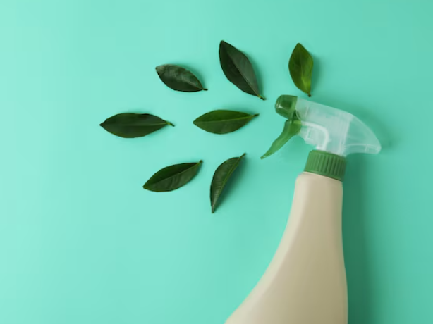 Limpieza Ecológica
