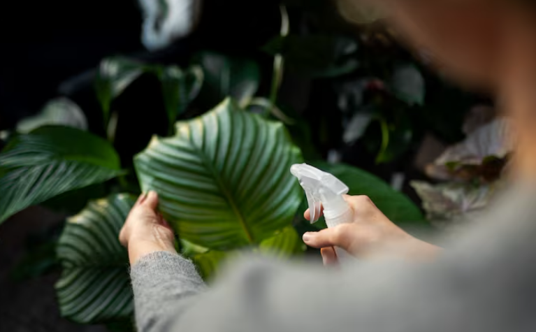 Fertilizantes y Cuidado de Plantas