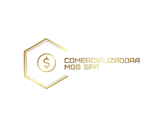 Comercializadora Mgs Spa