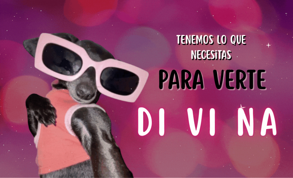 Cómplices del Placer 