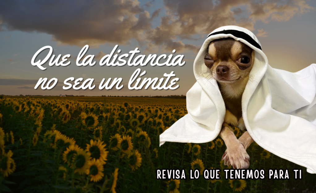 Cómplices del Placer 