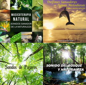 Título del banner