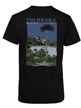 Consagración de la Tierra