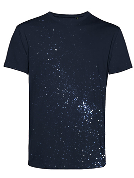 Consagración de la Tierra