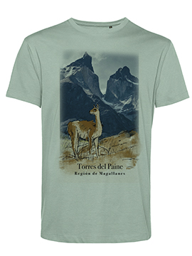 Consagración de la Tierra