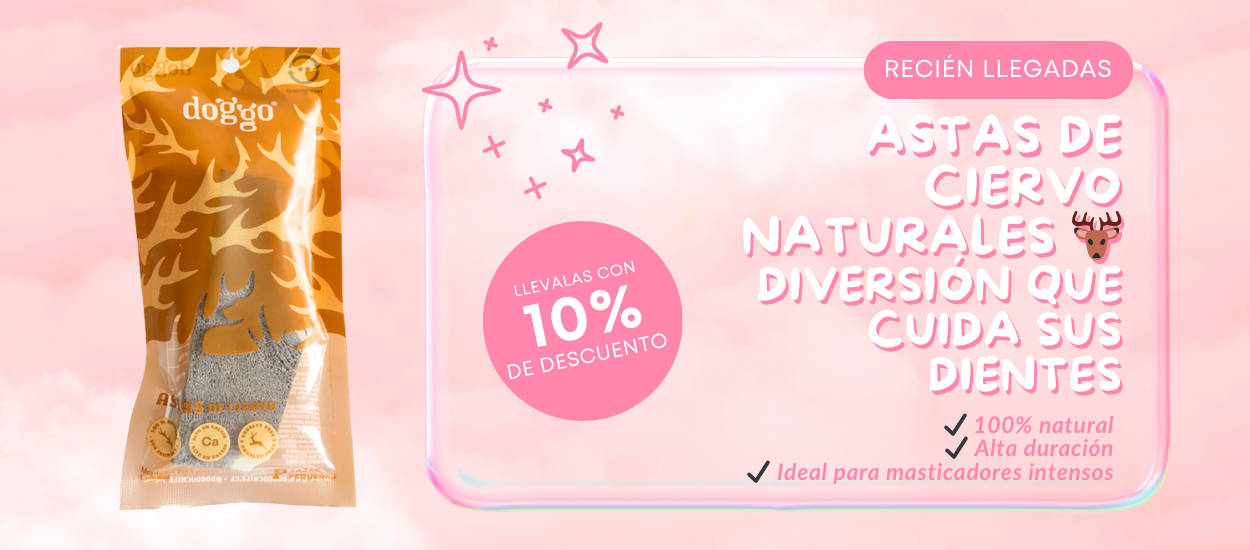 astas de ciervo para mascotas