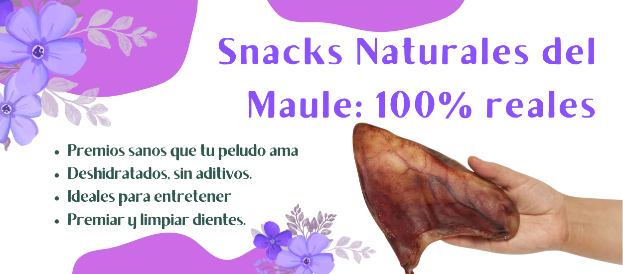 nacks naturales para perros del maule deshidratados consentidospet