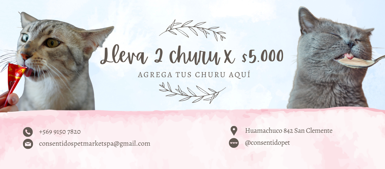 lleva 2 churu por 5000