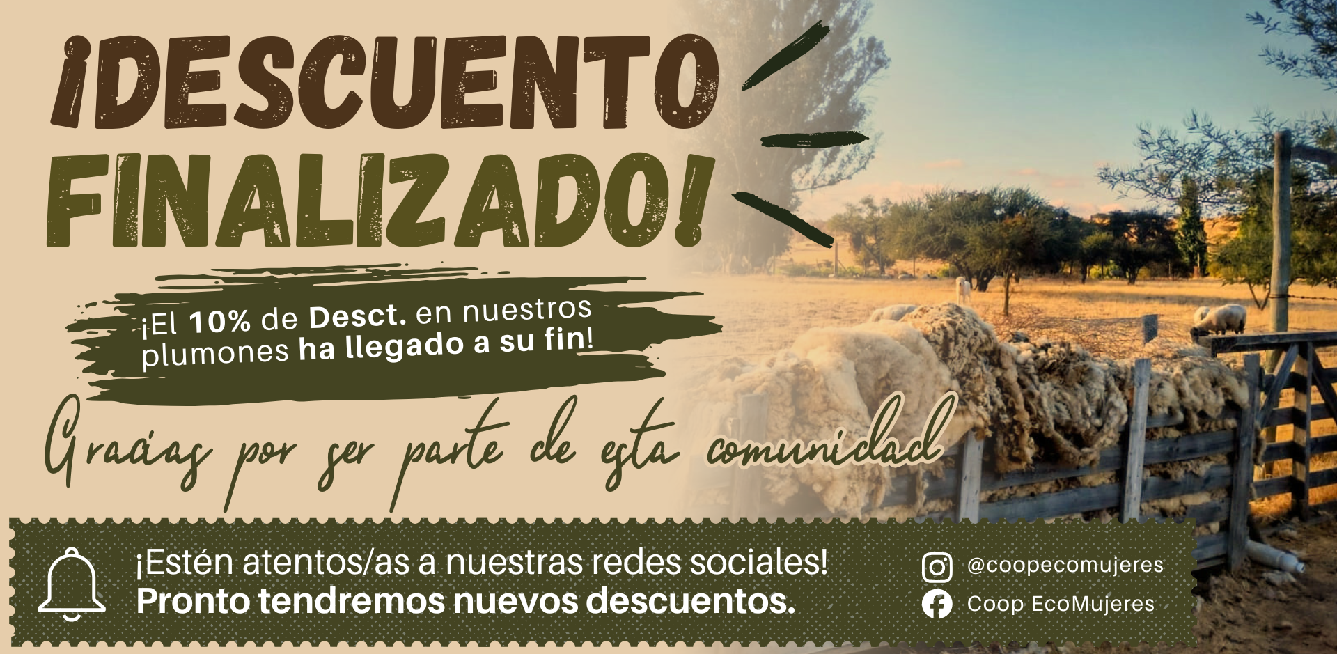 Título de la Sección