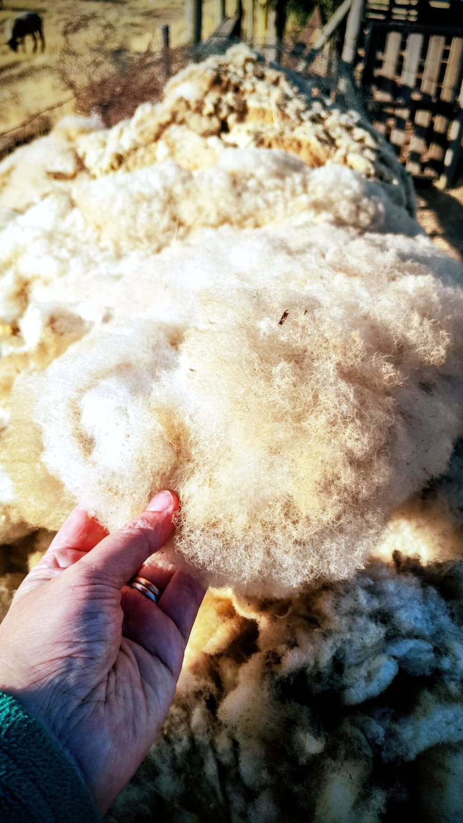 Calidad que se Siente