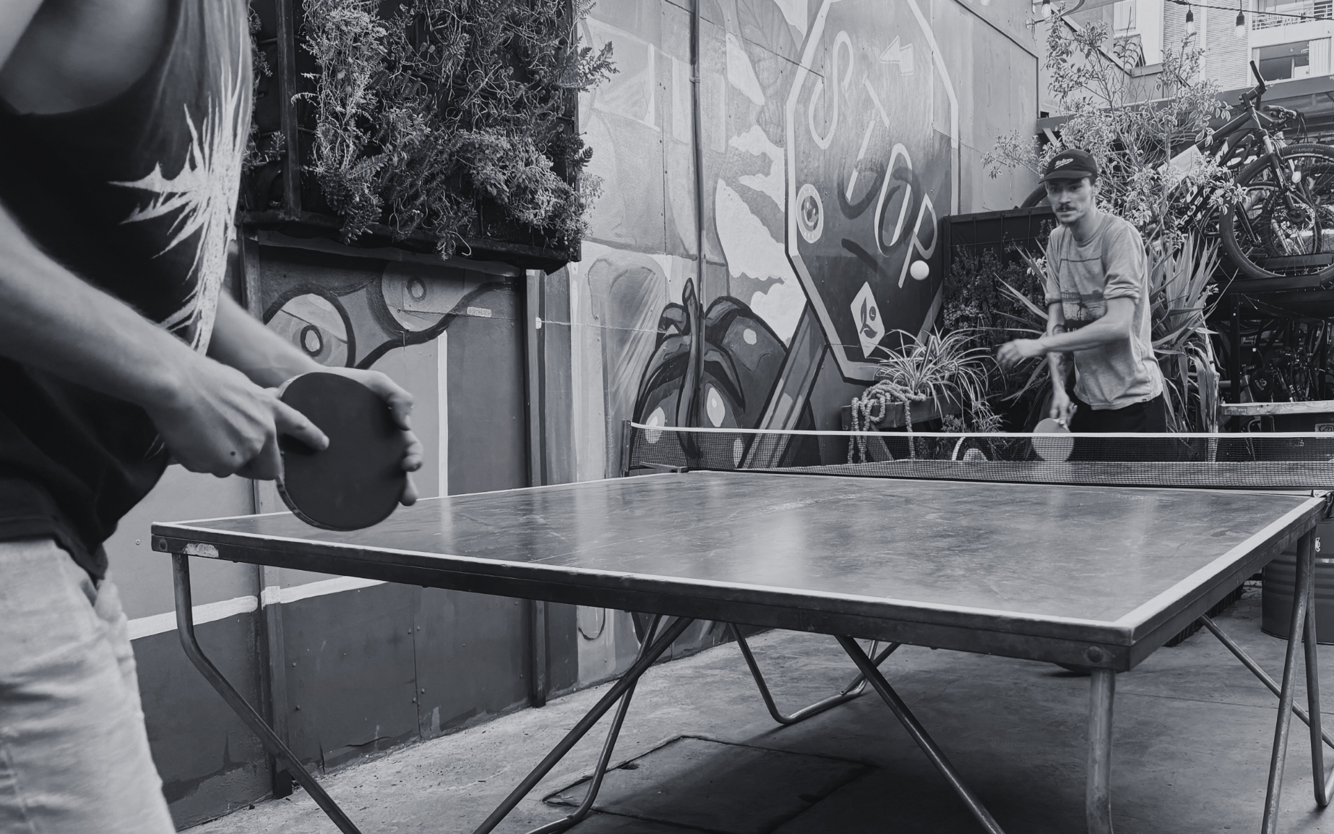 Torneo de Ping Pong