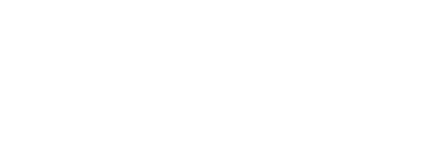 Precio Santiago