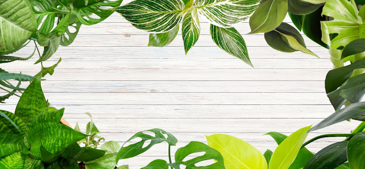 <strong>Plantas </strong><p>ornamentales, huerta y más<p>