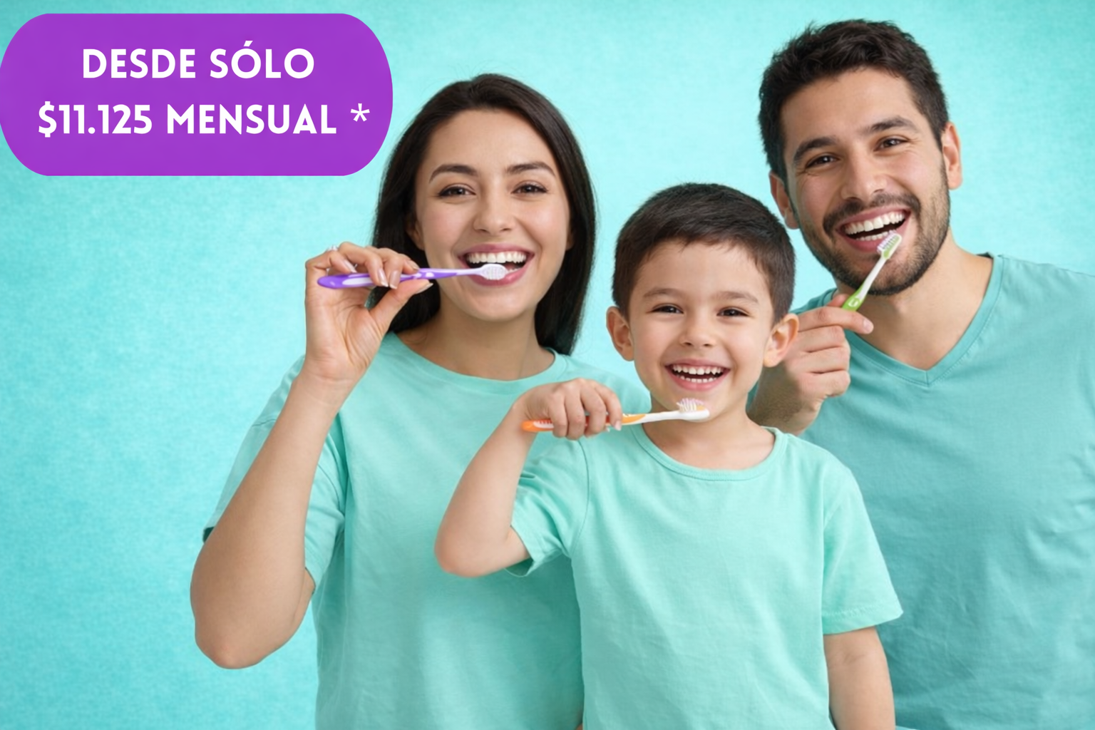 <b>Seguro Dental</b>