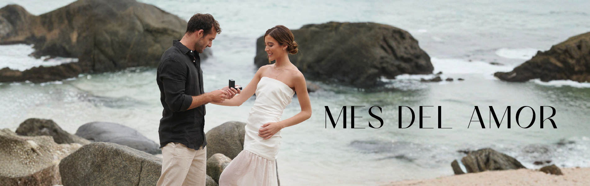 Título de la Sección