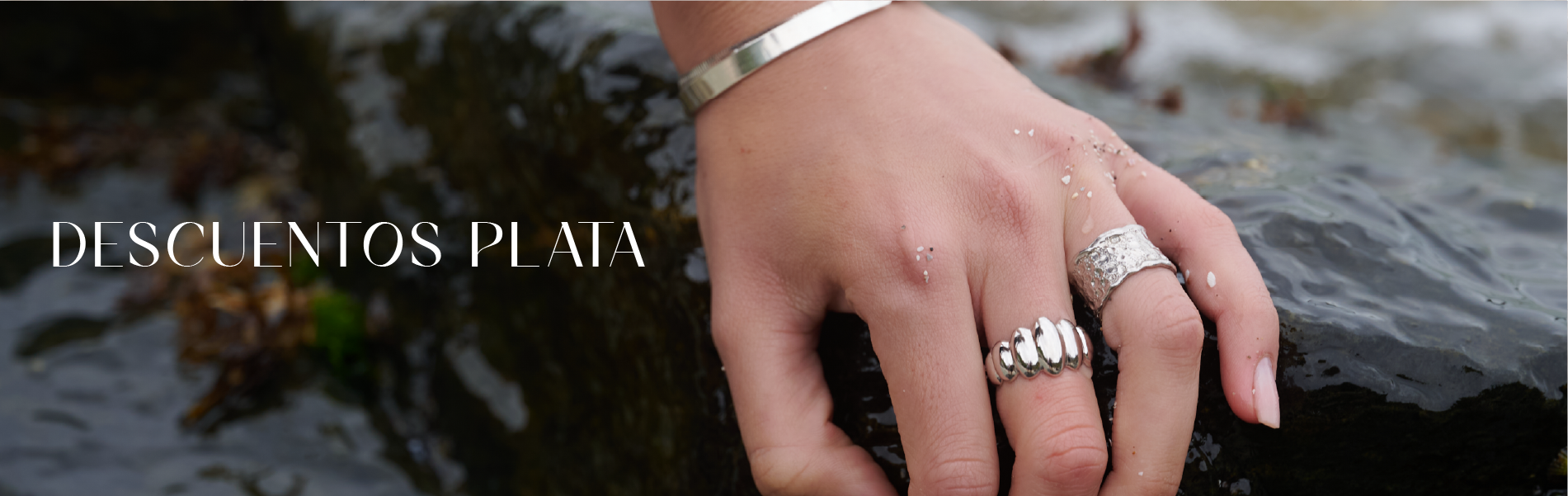 Título de la Sección