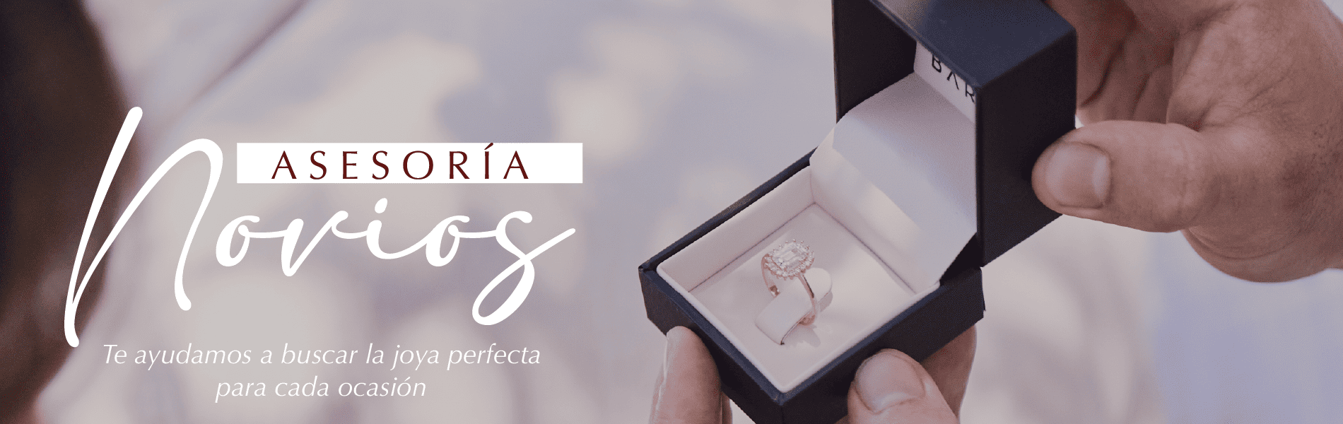 Título de la Sección