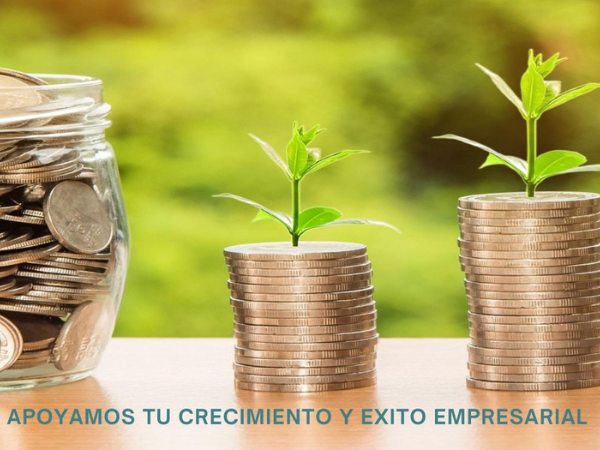 PROFESIONALES CERTIFICADOS 