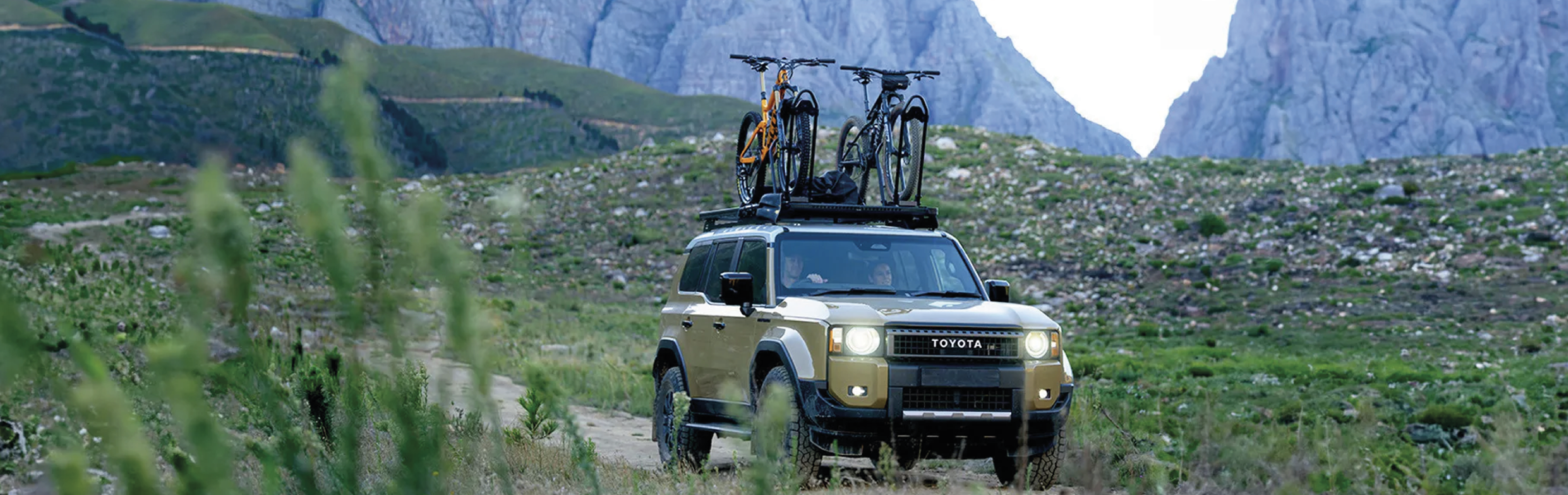 <strong>BICICLETAS</strong>