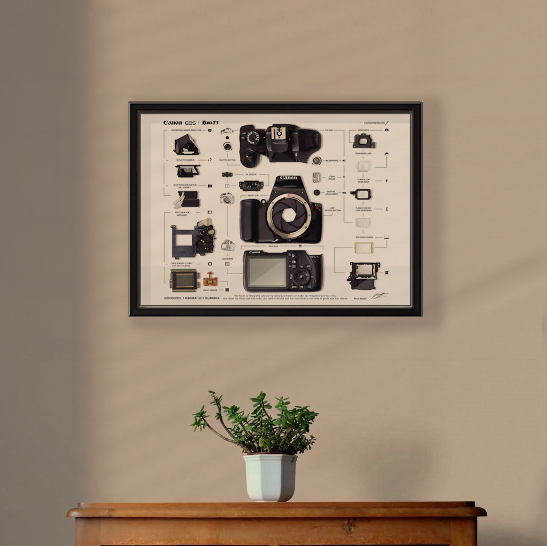 GALERÍA