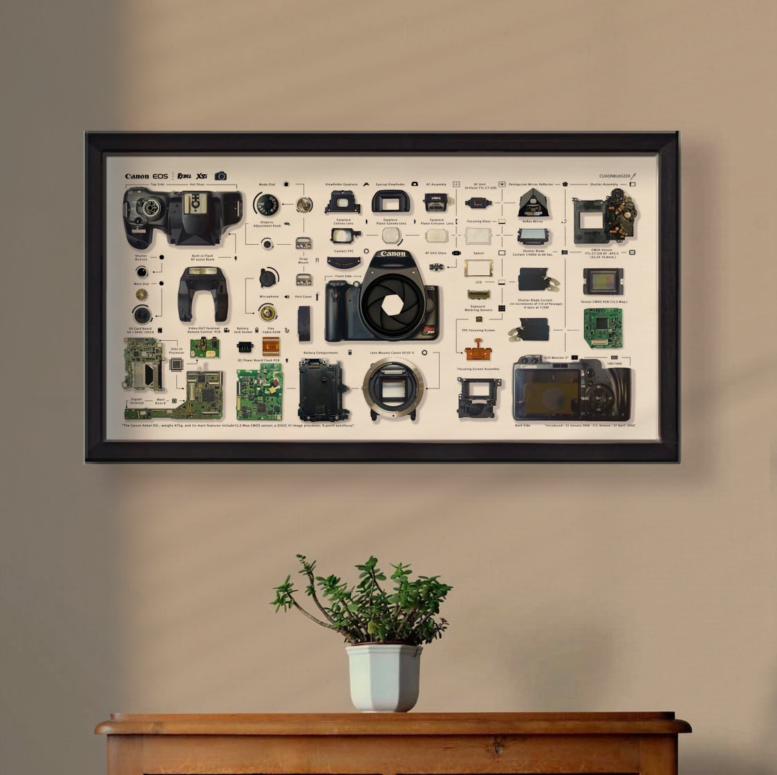 CUADROLOGEEK ESTUDIO