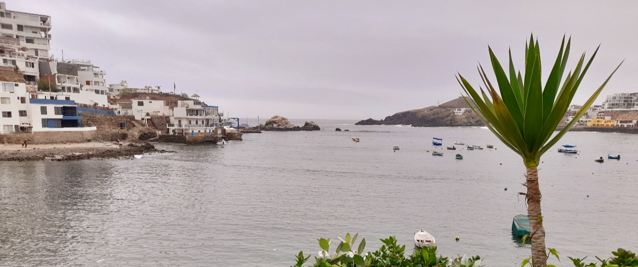 <b>SAN BARTOLO LOFTS</b><br>