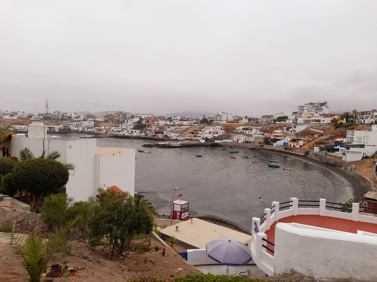 <b>SAN BARTOLO LOFTS</b><br>