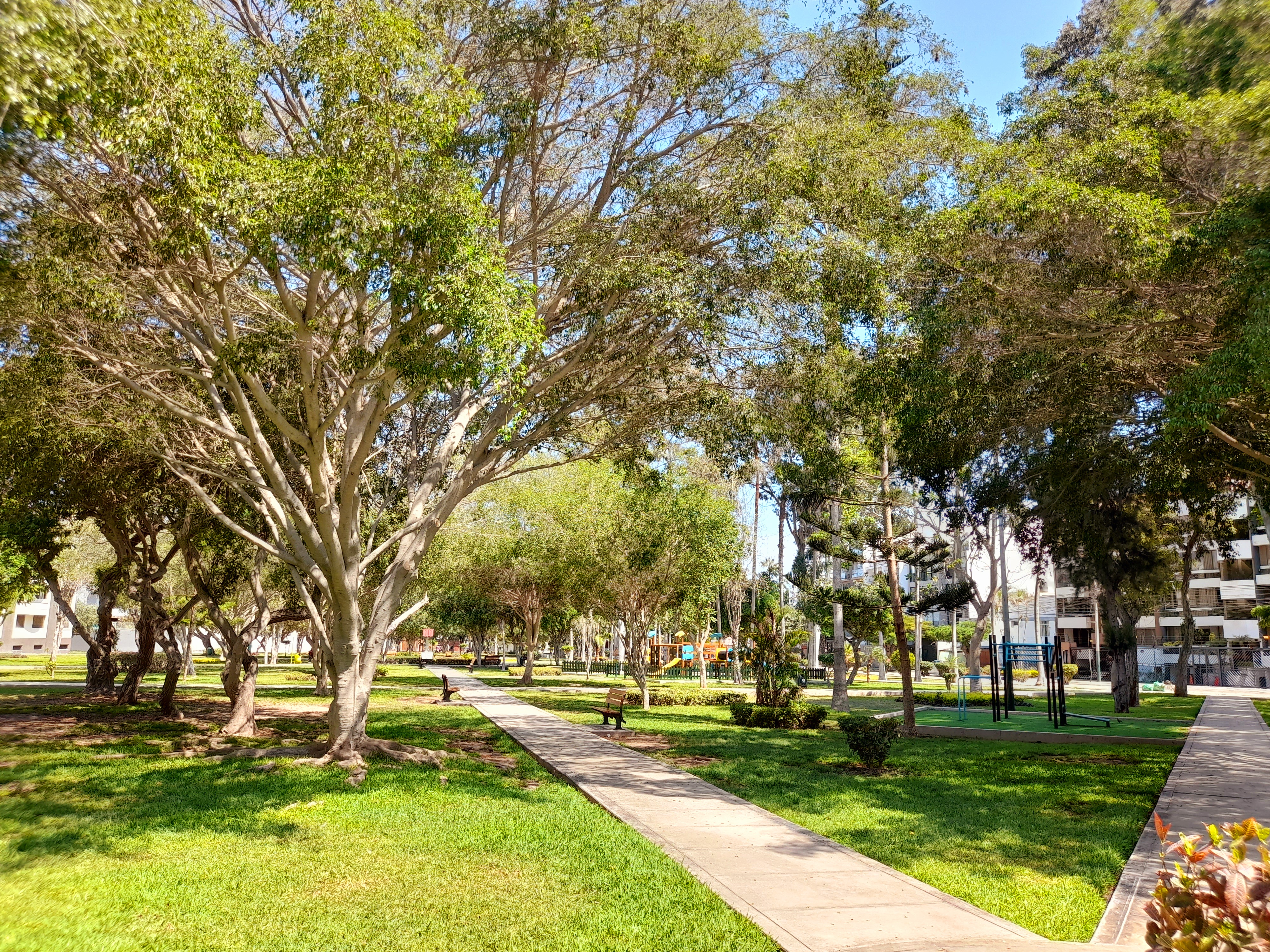 <div style="line-height: 1.5; font-size: em; text-align: center; padding: 1px 1px"><span style="font-size: 0.8em;"><i>escuchamos<br></i></span><span style="font-size: 0.8em;">lo que nuestros clientes <i>realmente valoran</i>.</span></div>