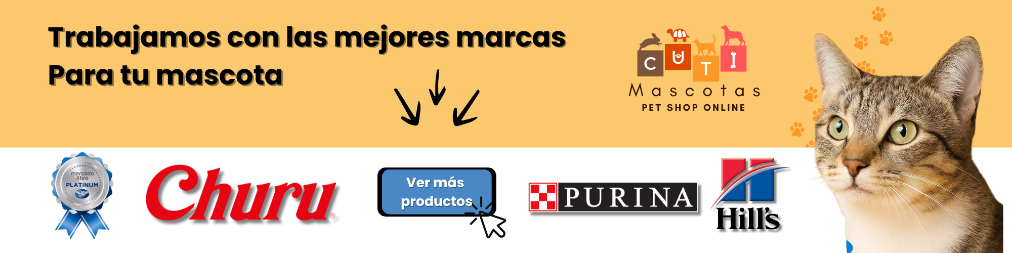 Bienvenidos