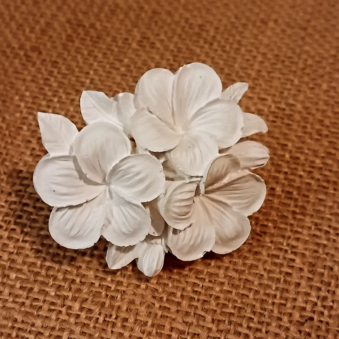 Forma, cor e perfume num só gesto.