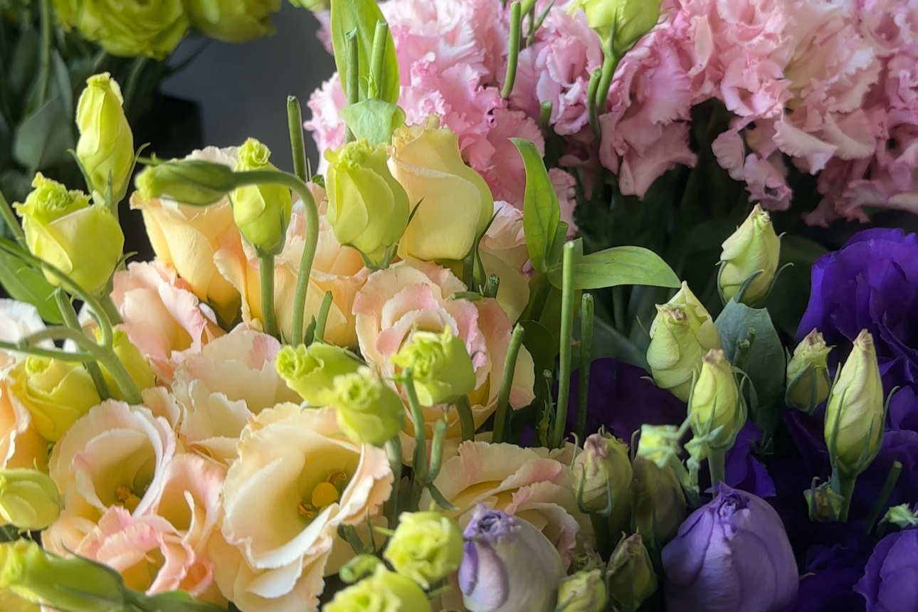 Cultivamos nuestras flores y <b>colaboramos con productores del sur </b>de Chile<br>