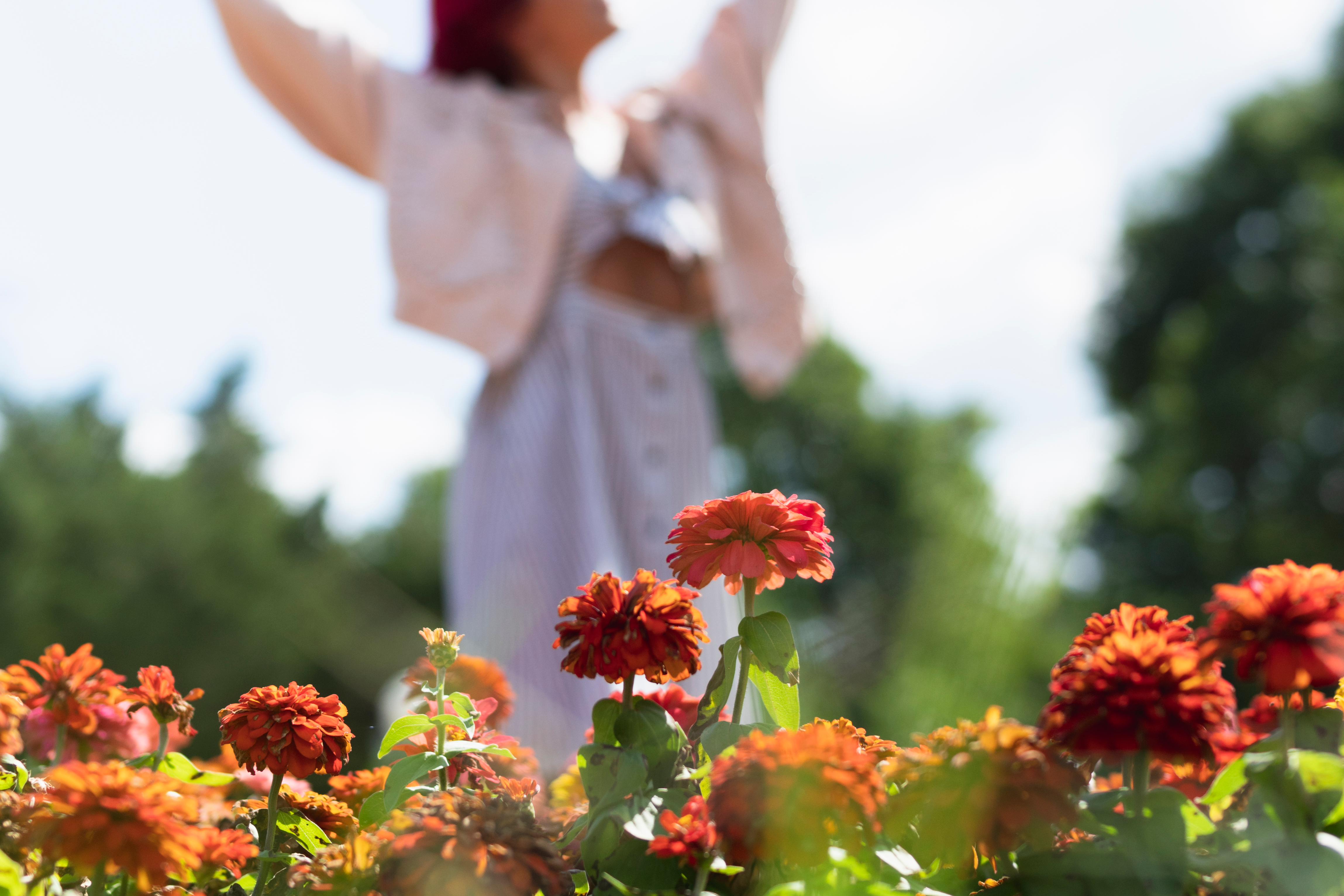 Donde la naturaleza del sur se transforma en<b> arte floral</b><br>
<br>