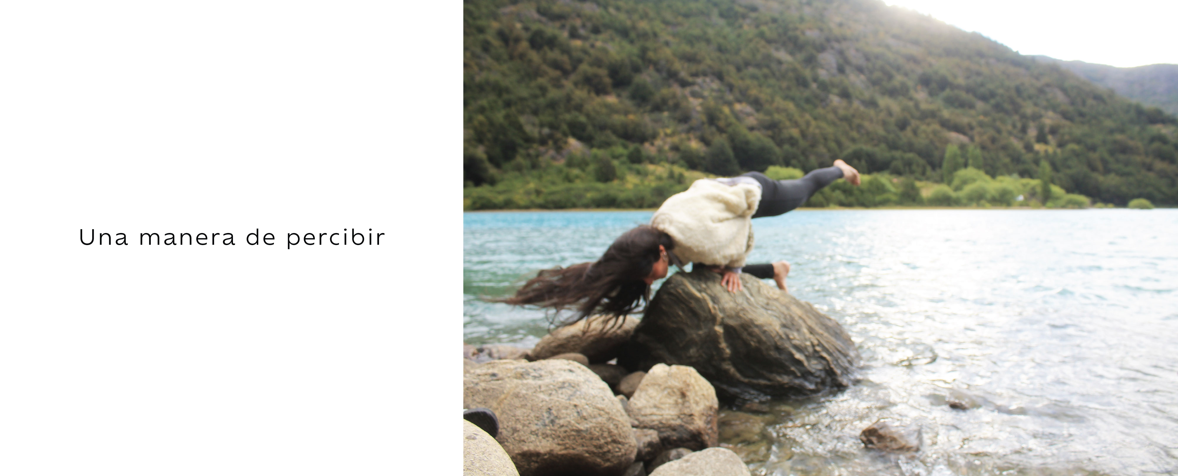 Título de la Sección