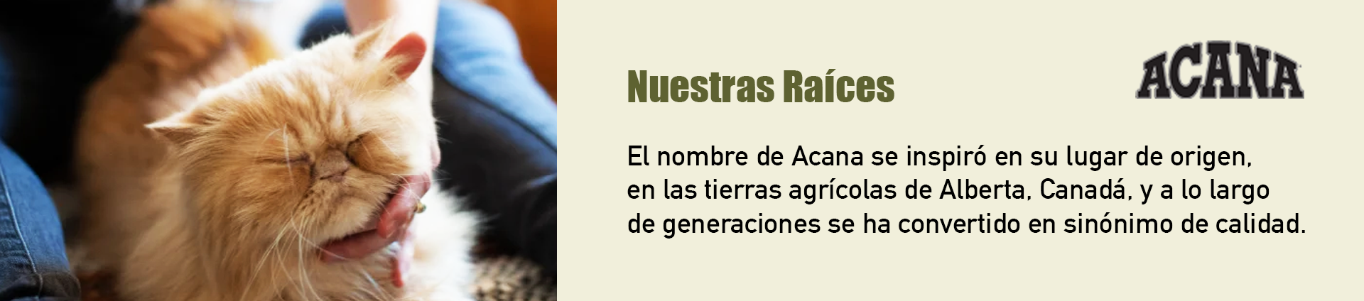 Título de la Sección