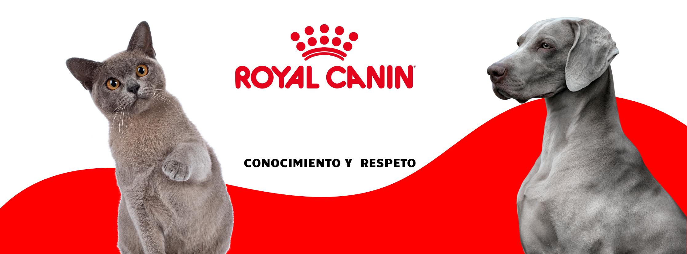 banner royal canin desktop