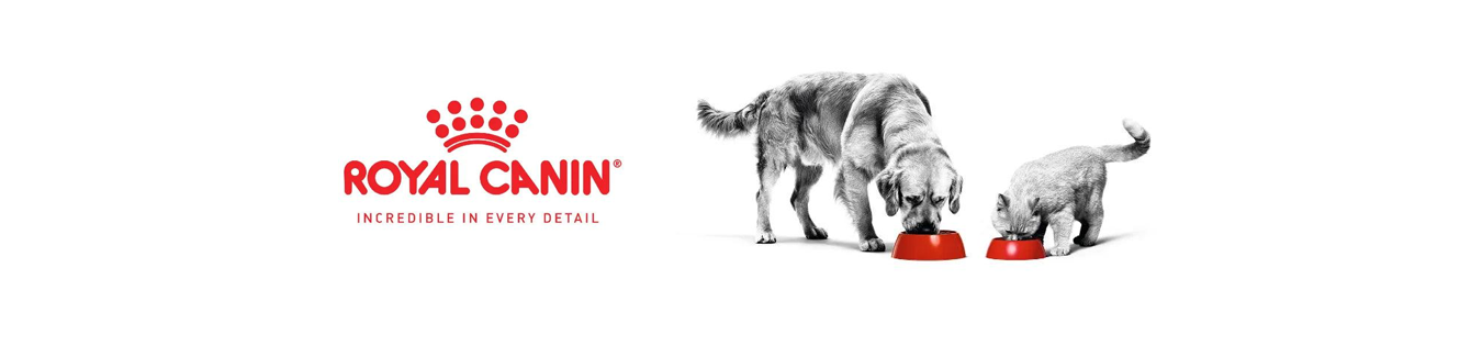 banner royal canin desktop