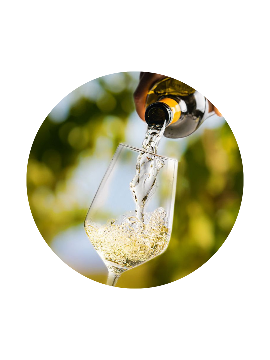 Vinos Blancos