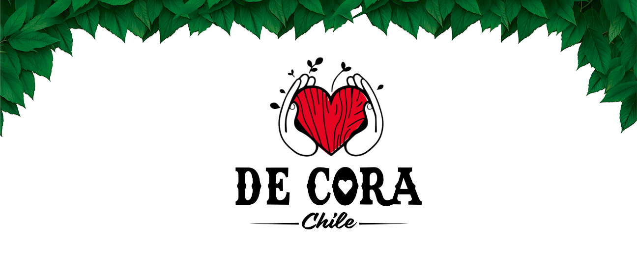 LOGO DECORA