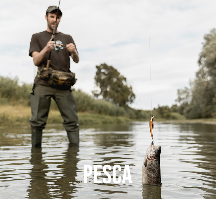 Pesca